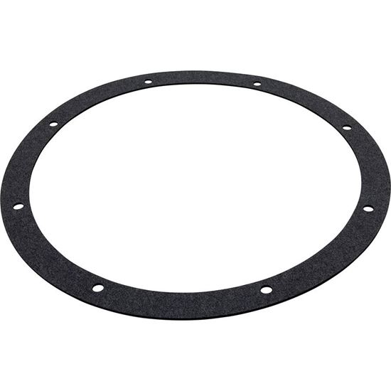 Picture of Gasket Amerlite/Amerquartz Niche Generic G-168