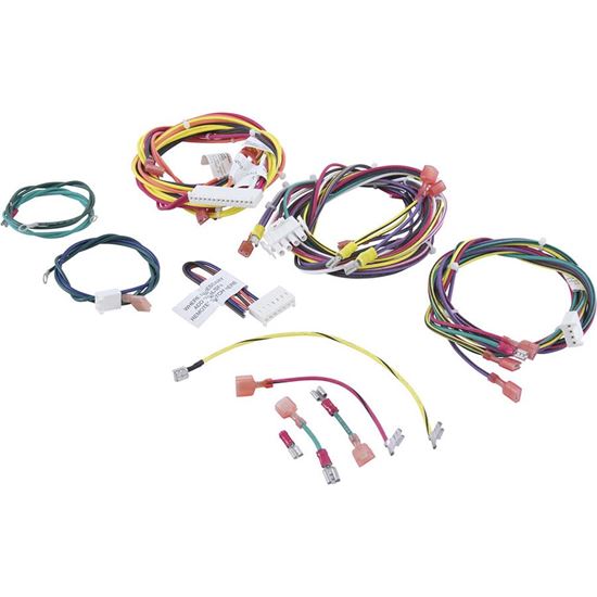 Picture of Wire Harness Raypak 207A 010347F