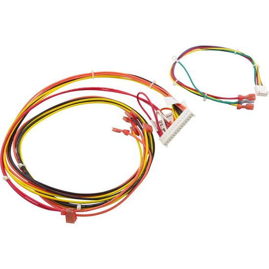 Picture of Wire Harness Raypak 156A Digital 014885F