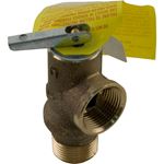 Picture of Pressure Relief Valve Raypak 130A/207A/206A/R185A 125 psi 008091F