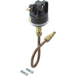 Picture of Pressure Switch Raypak 53A with Tubing 003651F