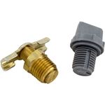 Picture of Drain Plug Raypak 185/R185A/R185B 006721F