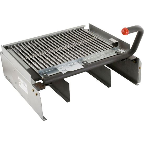 Picture of Burner Tray Raypak Model R335 with Burner Sea Level 005215F