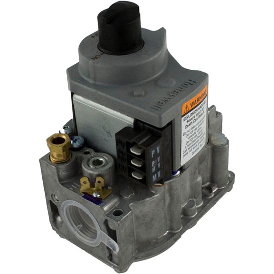 Picture of Combination Gas Valve Raypak 207A On/Off Nat. 010329F