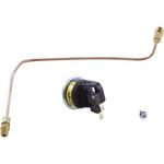 Picture of Pressure Switch Zodiac Laars HI-E2 with Siphon Loop R0322900