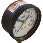 Picture of Pressure Gauge Zodiac Ray-Vac/DM Hose 60 psi Bottom Mount R0377700