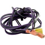 Picture of Wire Harness Zodiac Jandy Lxi Pressure Switch R0457800