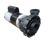 Picture of Pump Sundance/Jacuzzi Theramax 2.5HP 230V 6500-341