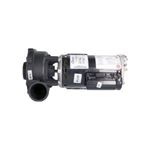 Picture of Pump Waterway Executive 48 4.5HP 230V 12.0 3421821-1A