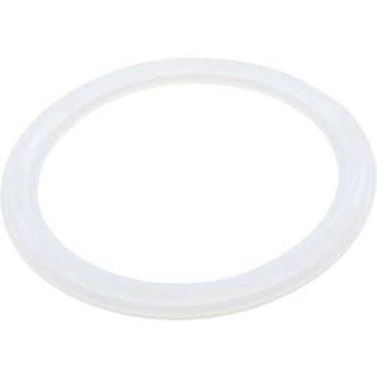 Picture of O-Gasket Rising Dragon Used on 5" Light Hous RD702-0502