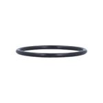 Picture of Waterway O-Ring 805-0226